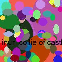 inurl collie of castlebay.de